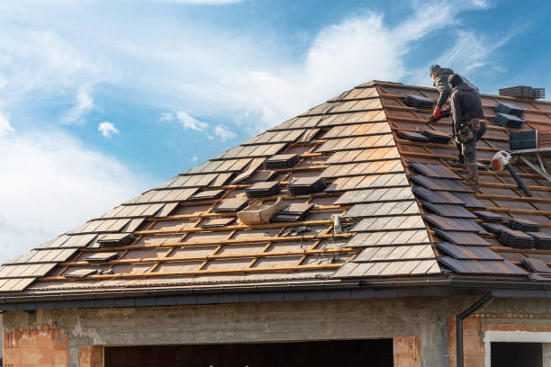 Best Emergency Roof Repair Services  in Lauderdale, MN